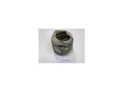 stator motoru 250v pro s12