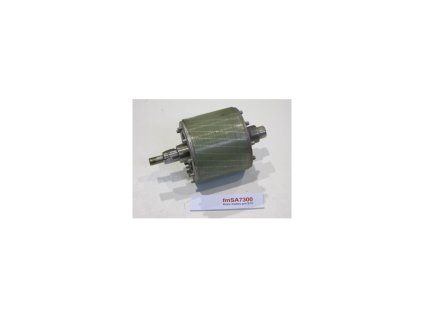 rotor motoru pro s12
