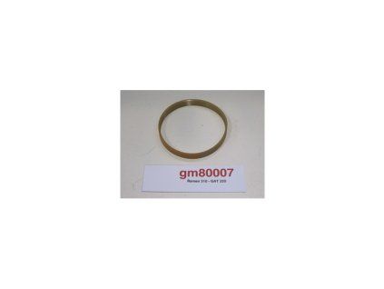remen 310 gat 220