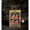 PixelBin AI Editor 1773310485526