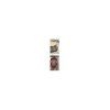 plynovy sporak sp 7040 g 2 zony s podestavbou redfox