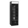 chladici skrin tefcold cev 425 cp black